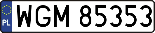WGM85353