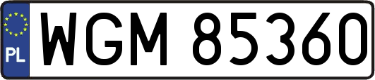 WGM85360