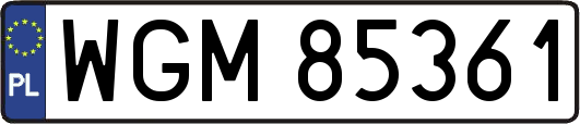 WGM85361