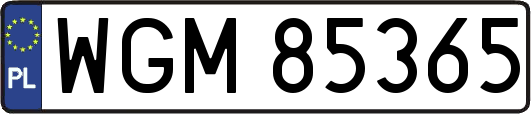 WGM85365