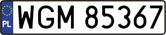 WGM85367
