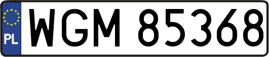 WGM85368