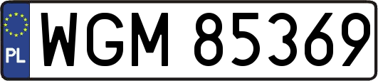 WGM85369