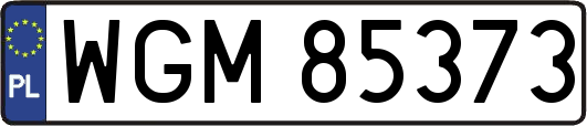WGM85373