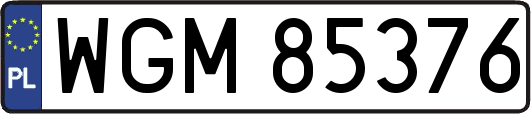 WGM85376