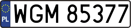 WGM85377
