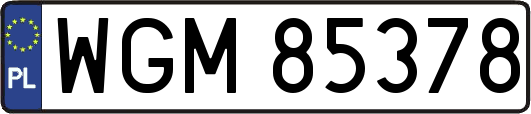 WGM85378