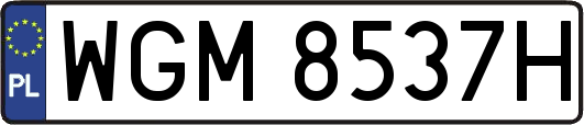 WGM8537H