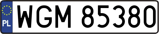 WGM85380