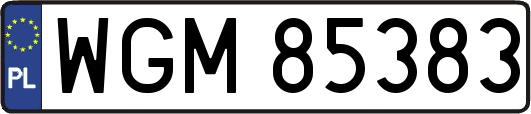 WGM85383