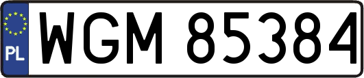WGM85384