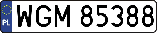 WGM85388