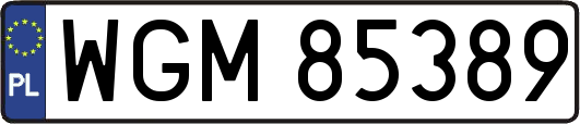 WGM85389