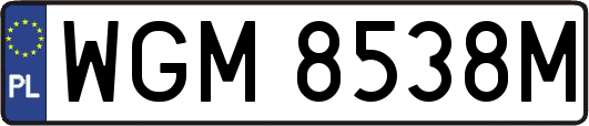 WGM8538M