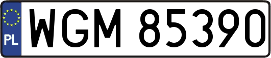 WGM85390