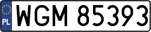 WGM85393