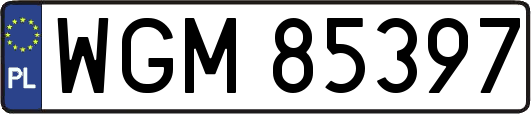 WGM85397