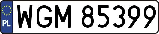 WGM85399
