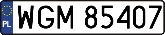 WGM85407