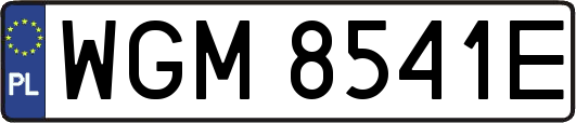 WGM8541E