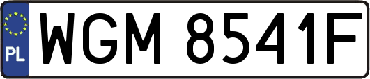 WGM8541F