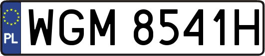 WGM8541H