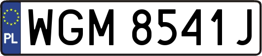 WGM8541J