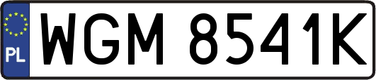 WGM8541K