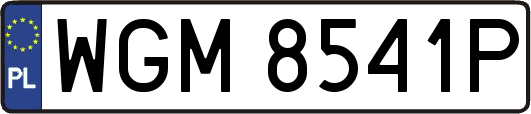 WGM8541P