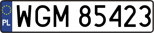 WGM85423