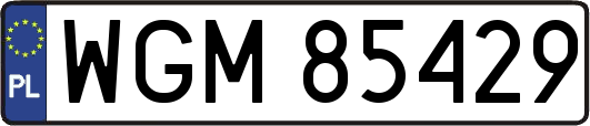 WGM85429