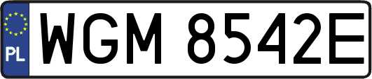 WGM8542E