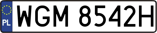 WGM8542H