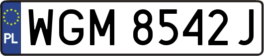 WGM8542J