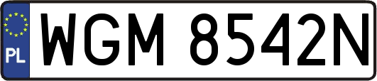 WGM8542N