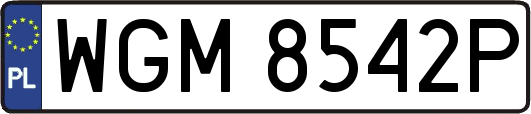 WGM8542P