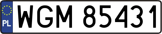 WGM85431