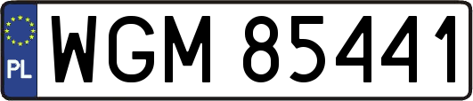 WGM85441