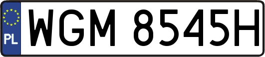 WGM8545H