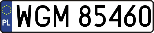 WGM85460