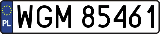 WGM85461