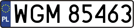 WGM85463