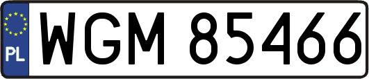 WGM85466