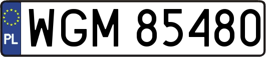 WGM85480