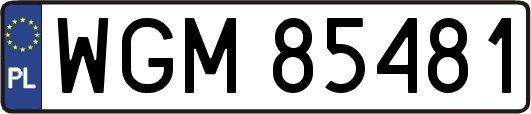 WGM85481