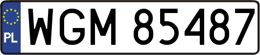 WGM85487