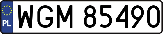 WGM85490