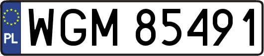 WGM85491