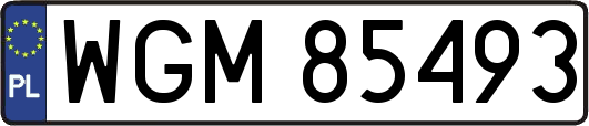WGM85493