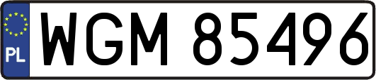 WGM85496